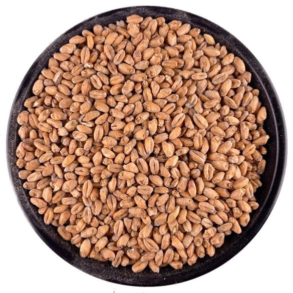 Bestmalz Prémium Búza maláta (heidelberg wheat) 2,5-3,5 EBC