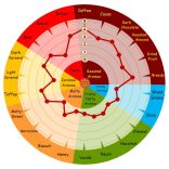 Weyermann Carafa Typ III special 1300-1500 EBC 0,1kg