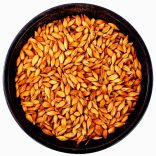 Caramunich Typ2 110-130 EBC