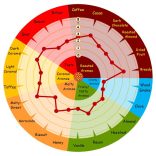 Caramunich Typ2 110-130 EBC