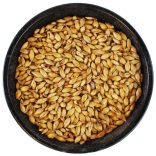 Chateau CaraRuby(CaraRed) maláta 45-55 EBC