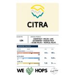 Citra komló pellet 100g