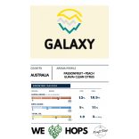 Galaxy komló pellet 50g 