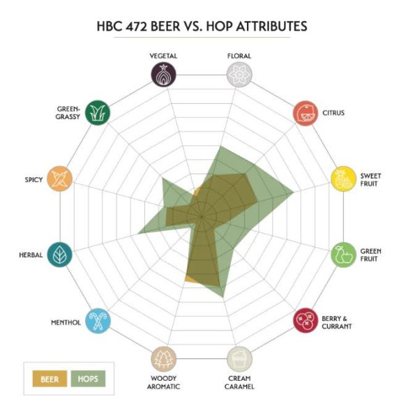 HBC 472 komló pellet 50g