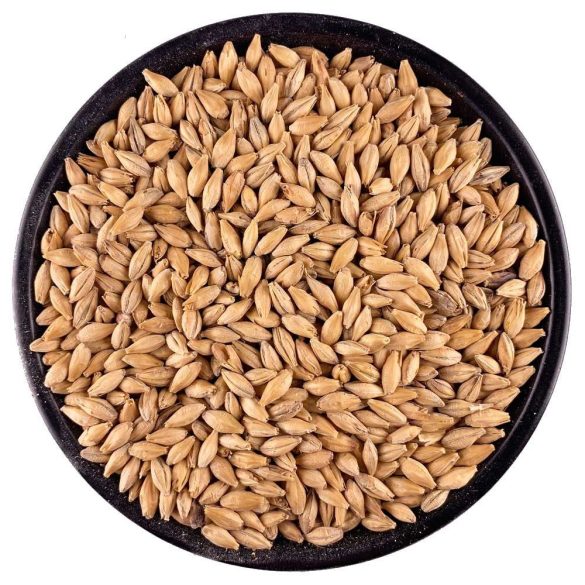 Lycos Pilseni maláta 3-4 EBC