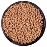 Viking Búza maláta 3-5,5 EBC