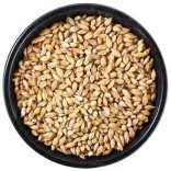 Weyermann Acidulated(savas) maláta 1,5-5 EBC 0,1kg