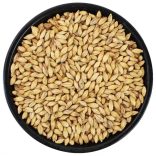 Weyermann Beech Smoked füstölt maláta 4-8 EBC